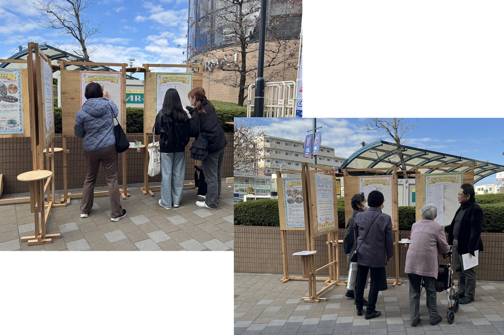 �����񍐎ʐ^